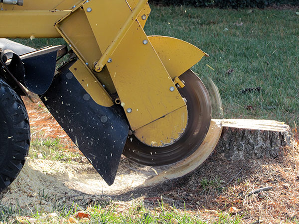 Medina TN stump Grinding